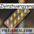 Ziyinzhuangyang cialis1